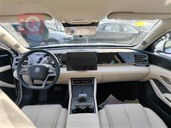 بي واي دي كوين L DM-i